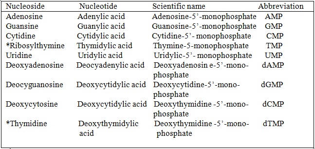 nomenclature of nucleosides and nucleotides